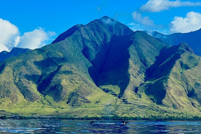 Kayak, Whale Watch, and Snorkel With Optional Photo and Video - Why This Tour Stands Out