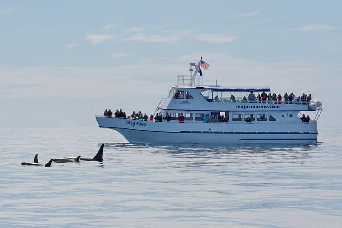 Kenai Fjords Orca Quest Cruise - Authentic Reviews and What Travelers Say