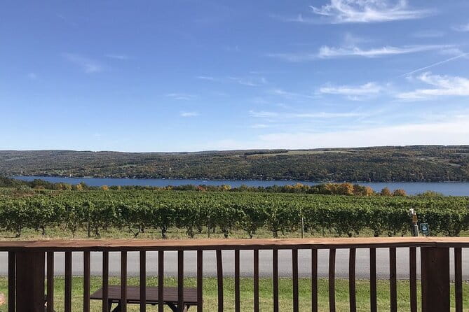 Keuka Lake Winery Tour - What to Expect During the Experience
