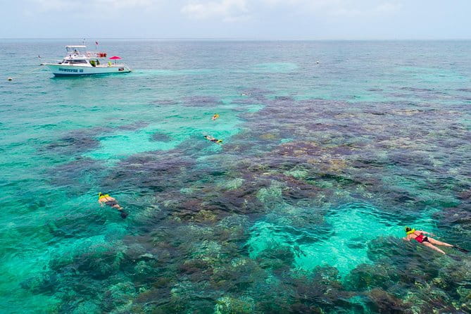 Key Largo Snorkeling Tour - rental mask, fins and vest INCLUDED - Pricing and Value