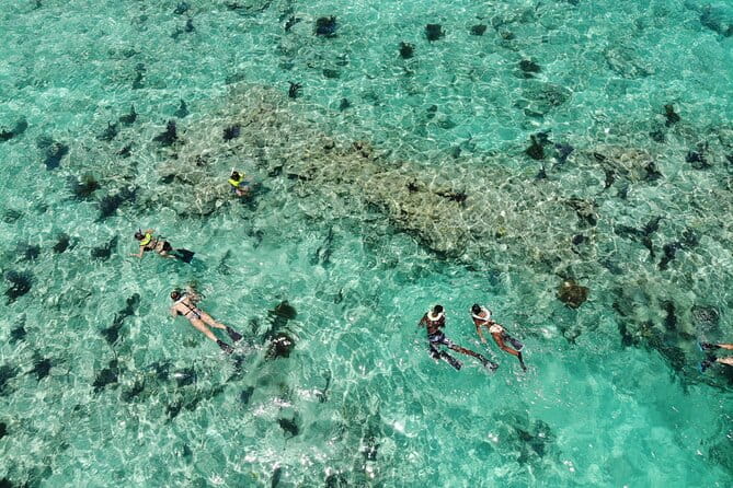 Key West Dolphin and Snorkel Experience - What to Expect: A Detailed Breakdown
