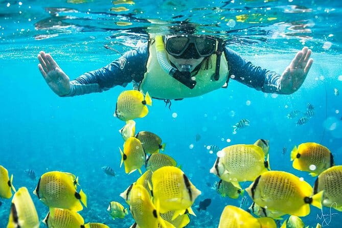 Kona Shore Excursion: Wild Dolphin Reefs Snorkel and Sea Caves - Final Thoughts