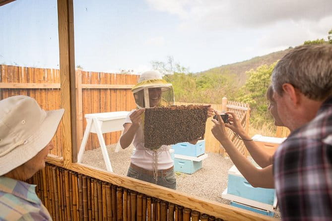 Kona Tour: Bee Farm, Kona Coffee, and National Historical Parks - Final Thoughts: Who Will Love This Tour?