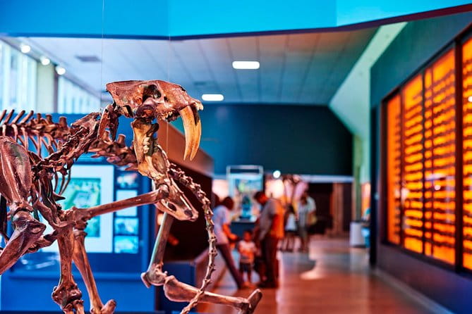 La Brea Tar Pits and Museum Admission Ticket with Excavator Tour - The Real Value of This Tour