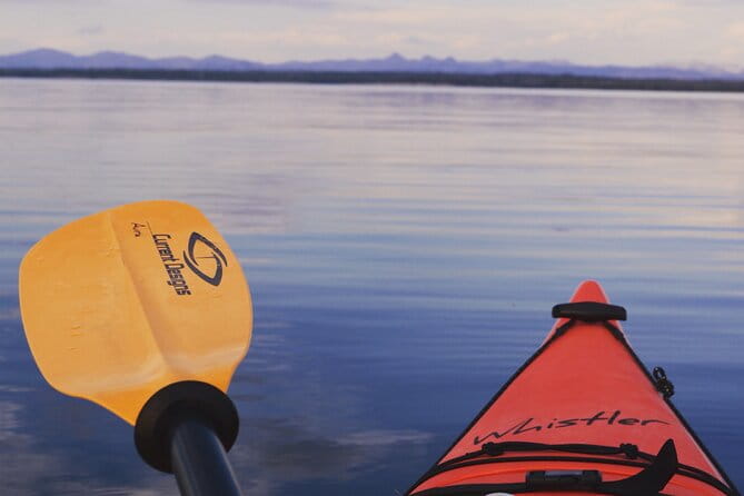 Lake Yellowstone Half Day Kayak Tours Past Geothermal Features - In The Sum Up: Who Should Consider This Tour?
