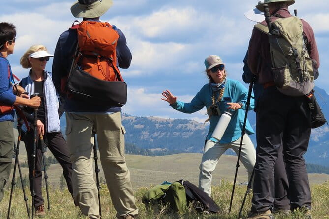 Lamar Valley Safari Hiking Tour with Lunch - Who Will Love This Tour?