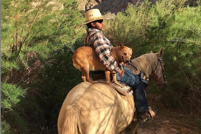 Las Vegas Horseback Ride with Meal - The Cowboy Meal