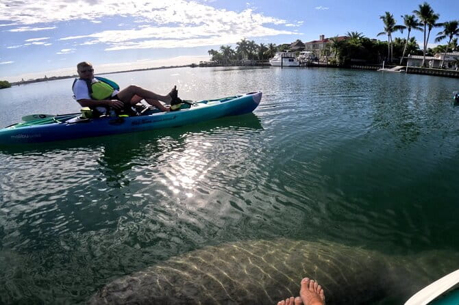 Lido Key Pedal Kayak Tour in Sarasota - Pricing and Value