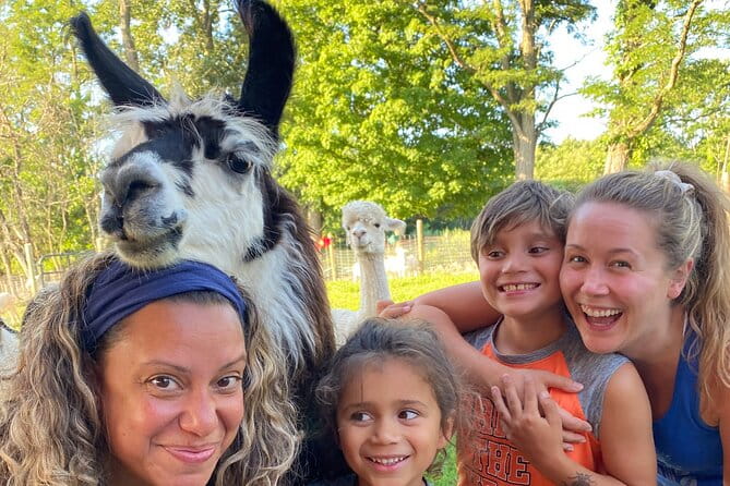 Llama/Alpaca Hike and Farm Tour - What You’ll See and Learn