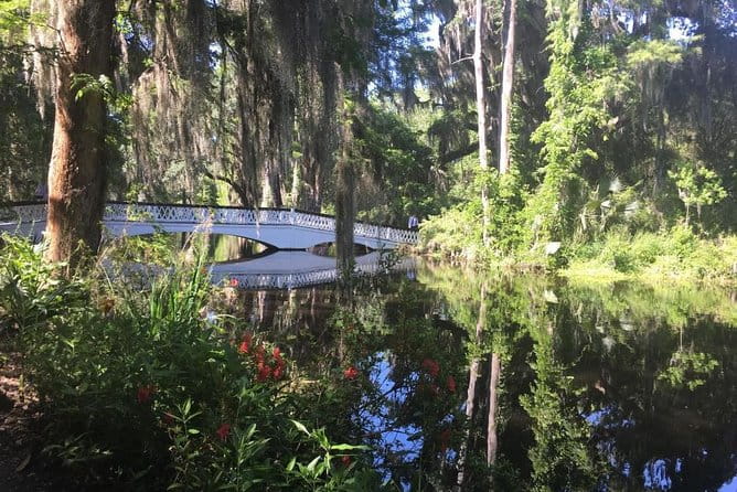 Magnolia Plantation Admission & Tour with Transportation from Charleston - Analyzing the Value