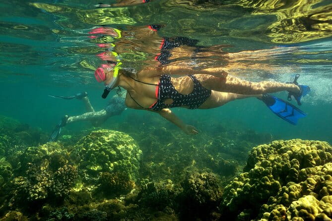 Maui South Shore Premier Kayak and Snorkel Tour from Makena Beach - The Guides: Why They Matter