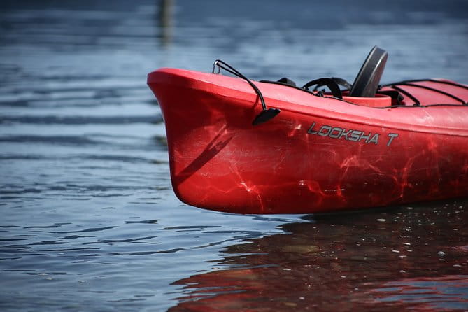 Mendenhall Glacier View Sea Kayaking - The Itinerary: What to Expect