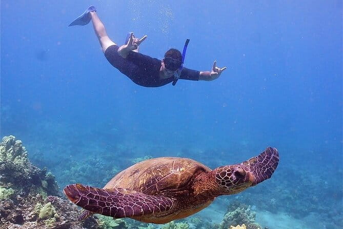 Molokini or Coral Gardens PM Snorkel Aboard Malolo - Why This Tour Might Be the Right Choice for You
