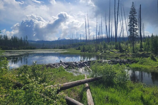 Nature Walk in Glacier National Park - The Sum Up