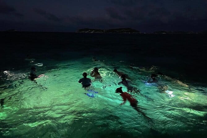 Night-Time Snorkel at TurtleTown with Stars, Lights, and Photos - What the Reviews Say