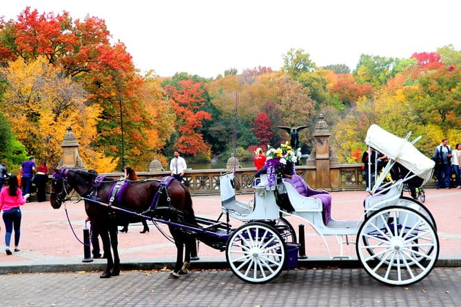 NYC Horse Carriage Ride in Central Park (50 Min. Up to 4 Adults) - Authentic Experiences in Every Ride