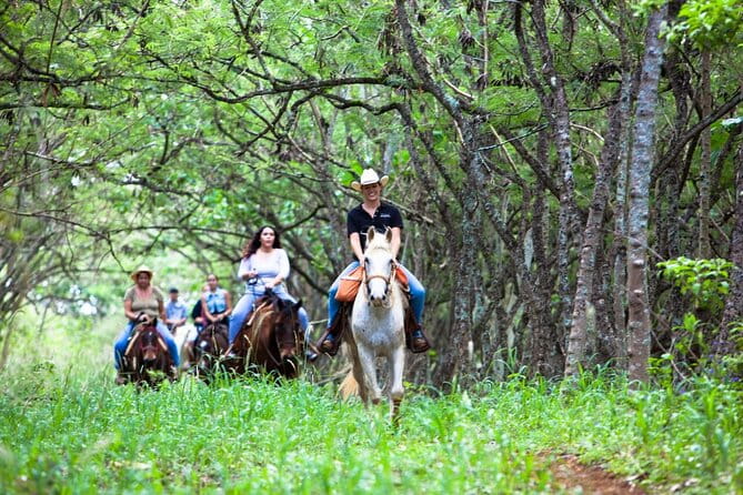Oahu Sunset Horseback Ride - The Horses and the Trail
