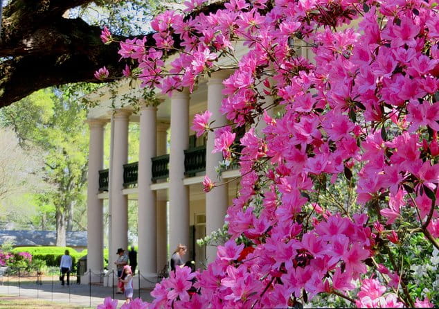 Oak Alley Plantation Tour with Transportation from New Orleans - FAQ