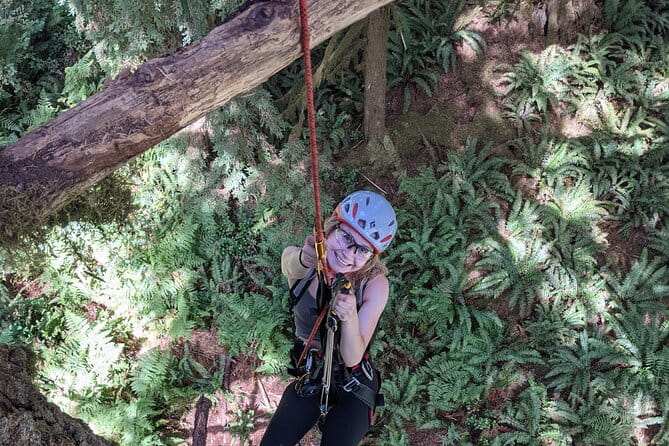 Old-Growth Tree Climbing at Silver Falls State Park - Why This Tour Stands Out
