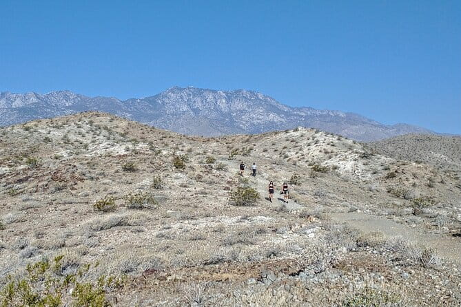 Palm Springs Hike to an Oasis and Amazing Desert Views - The Guide and the Group Dynamic