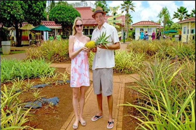 Pearl Harbor, Dole Plantation, Polynesian Center from Waikiki - What Past Travelers Are Saying