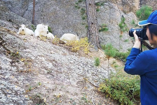 Premiere Private Black Hills Tour: Mt Rushmore, Crazy Horse & Custer State Park - What the Reviews Say