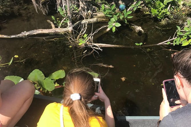Private 1.5-Hour Airboat Tour of Miami Everglades - The Itinerary: A Closer Look at Your 1.5-Hour Adventure