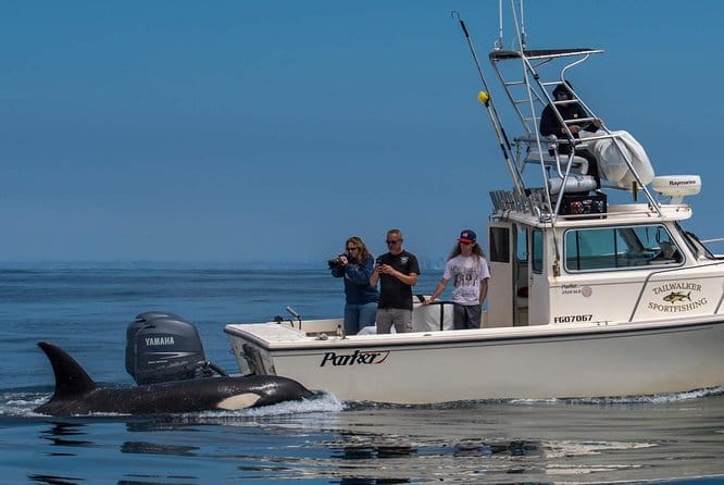Private Family Whale & Dolphin Adventure in San Diego - Authentic Feedback from Past Travelers
