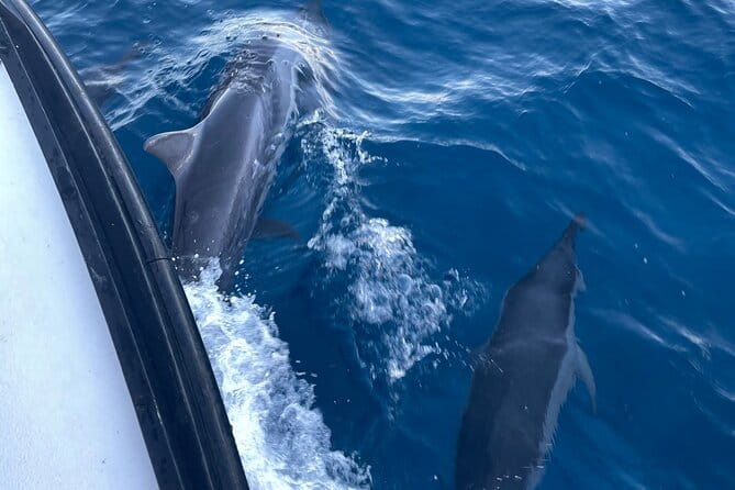Private Fishing Charter for Family and Friends in Honolulu - Who Should Book This Tour?