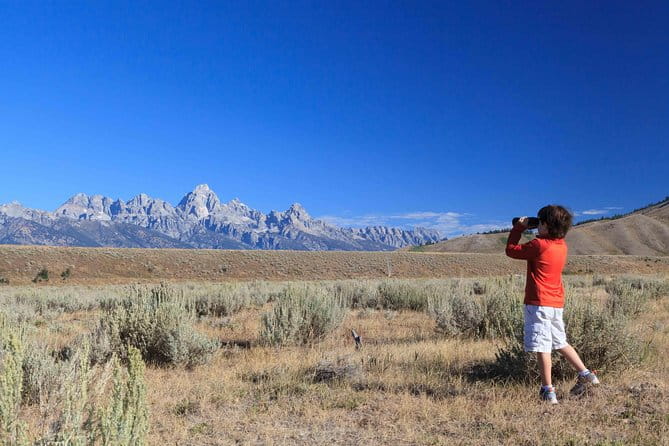 Private Grand Teton Wildlife Safari Tour - Final Thoughts