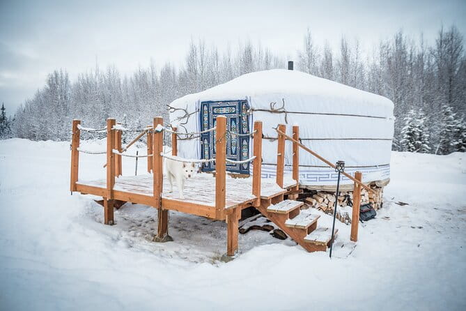 Private Guided Dog Sledding on the Historic Yukon Quest Trail - The Dogs and the Guides