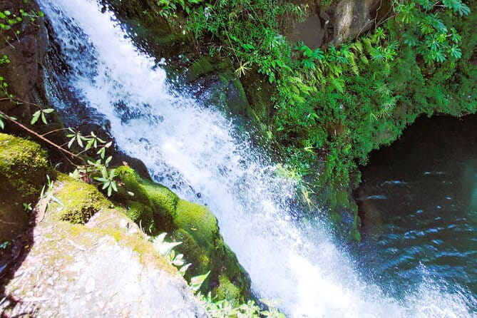 Private Jungle Waterfall Adventure, Wit Da Native Hawaiian Dundee - The Farmer’s Market and Tropical Flavors