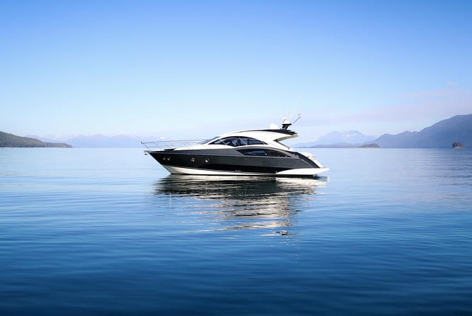 Private Luxury Whale Watch - How This Tour Compares: What You’ll Love