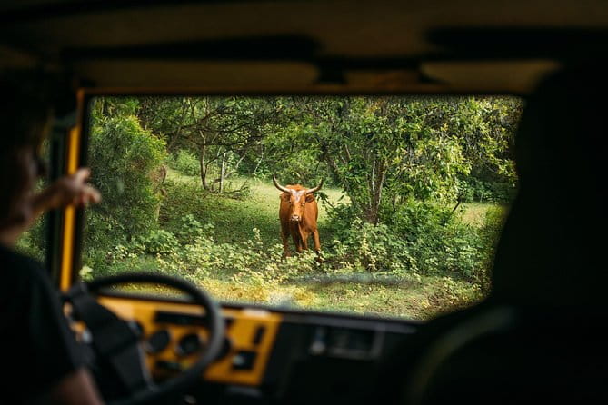 Private Off-Road Adventure Tour - The Itinerary: What You’ll See and Do