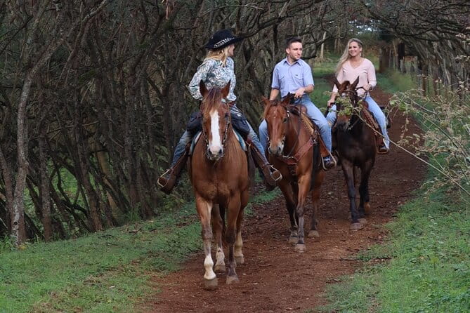 Private Sweetheart Horseback Ride - Who Might Want to Think Twice