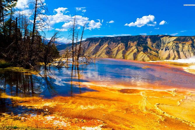 Private Upper Loop Tour of Yellowstone National Park - What Makes This Tour Stand Out?