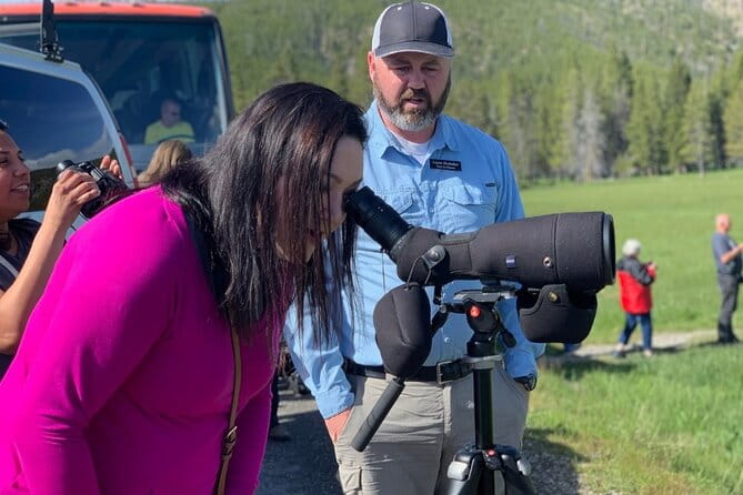 Private Yellowstone Wildlife Sightseeing Tour - The Benefits of a Private Guide and Vehicle