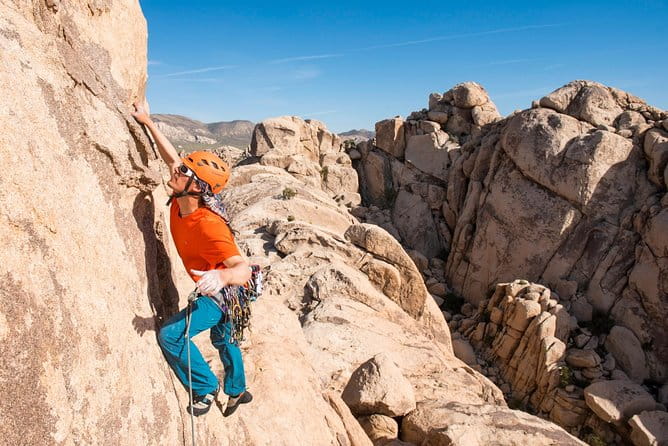 Rock Climbing Trips in Joshua Tree National Park (4 Hours) - Who Will Love This Tour?