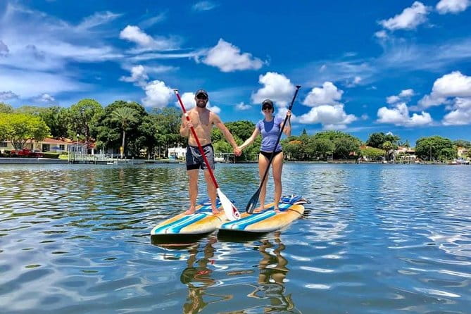Saint Petersburg Paddle Board Tour - Why This Tour Is a Great Choice