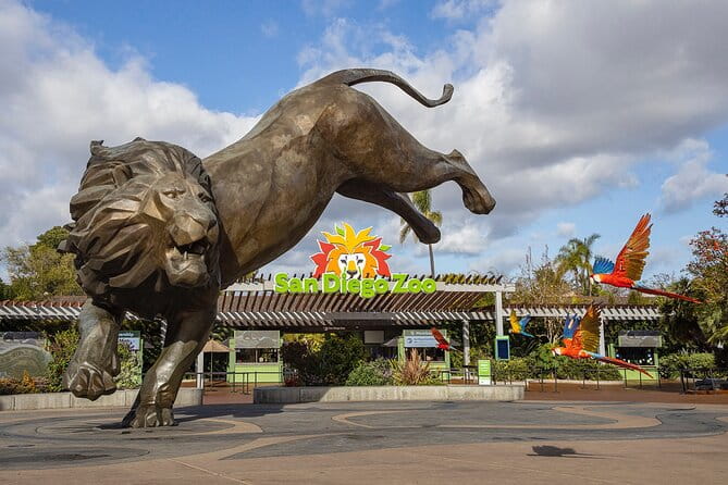 San Diego Zoo and Safari Park 2-Visit Pass Ticket - The Visitor Experience: Authentic Insights