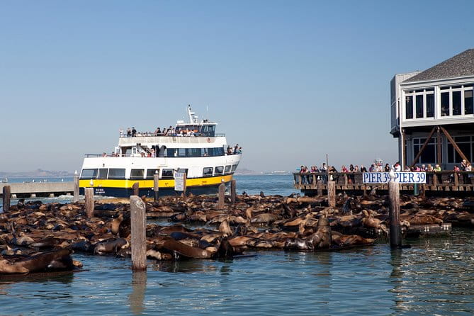 San Francisco Bay Cruise - The Itinerary: What to Expect on Your Water Adventure