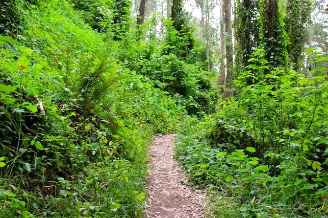 San Francisco Urban Hike: Castro and Twin Peaks - Final Thoughts