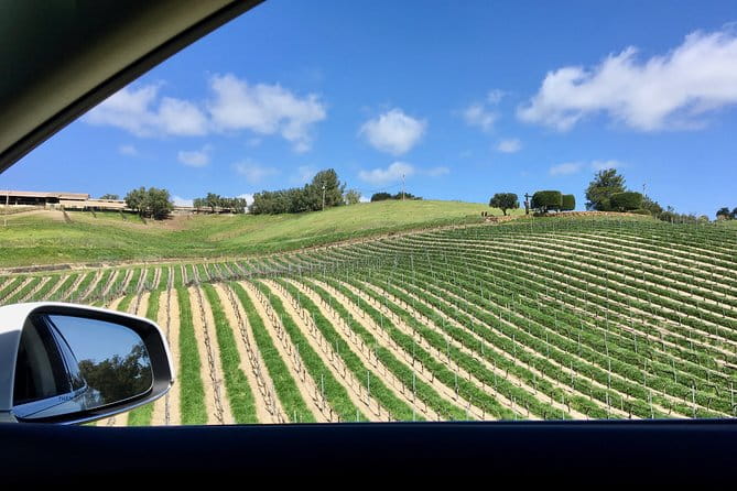 Santa Barbara Small-Group Wine Tour to Private Estates & Wineries - Why This Tour Fits Certain Travelers Best