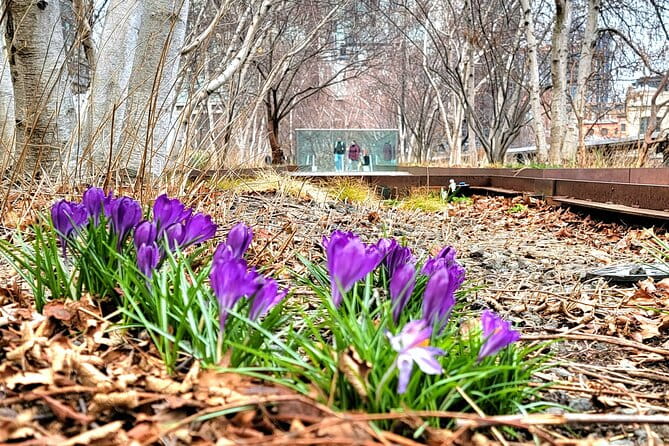 Secrets of the High Line - The Hidden Park Above: Little Known but Fascinating