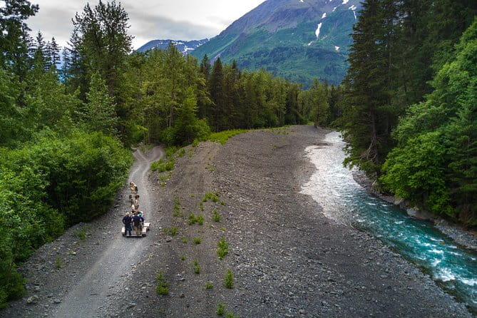 Seward and Kenai Fjords National Park Guided Tour with Lunch - The Value of the Tour