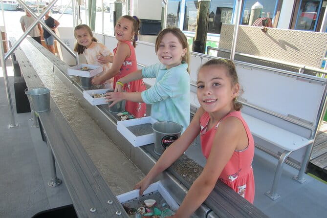 Shark Teeth and Shells, Dolphin and Shelling Tour Boat Clearwater Beach - Weather and Cancellation Considerations