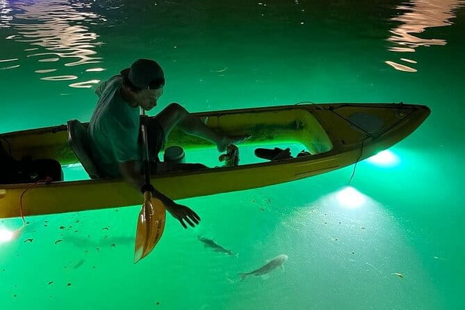 Sharkeys Glass Bottom Fish Feeding LED Night Tour St. Pete Beach - What’s Included (and What’s Not)