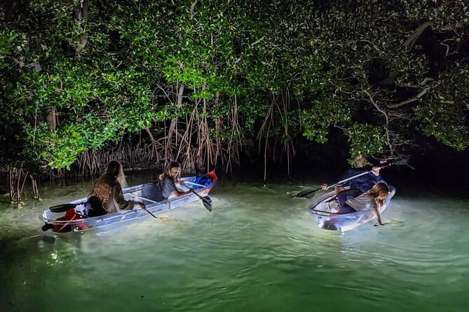 Siesta Key, FL - Clear Kayak LED Night Glass Bottom Tour - Considerations for Booking