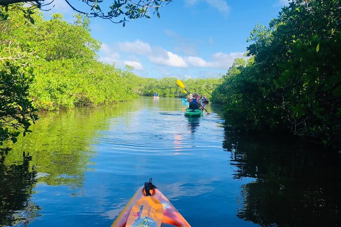 Siesta Key Guided Eco Tour - Why This Tour Works for Travelers