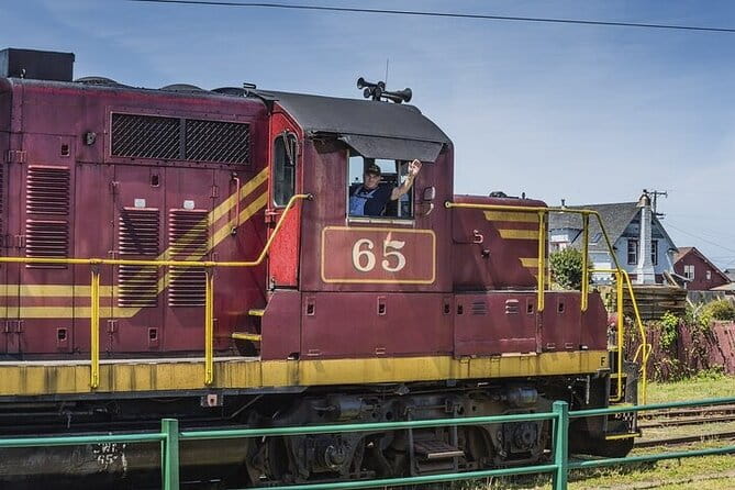 Skunk Train: Wolf Tree Turn from Willits - Who Will Love This Tour?